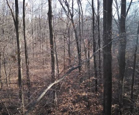 Horseman's Campground