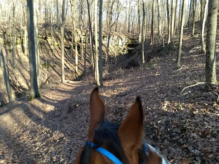 Horseman's Campground Picture 3