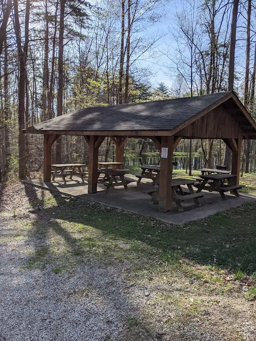 Owen-Putnam State Forest Picture 1