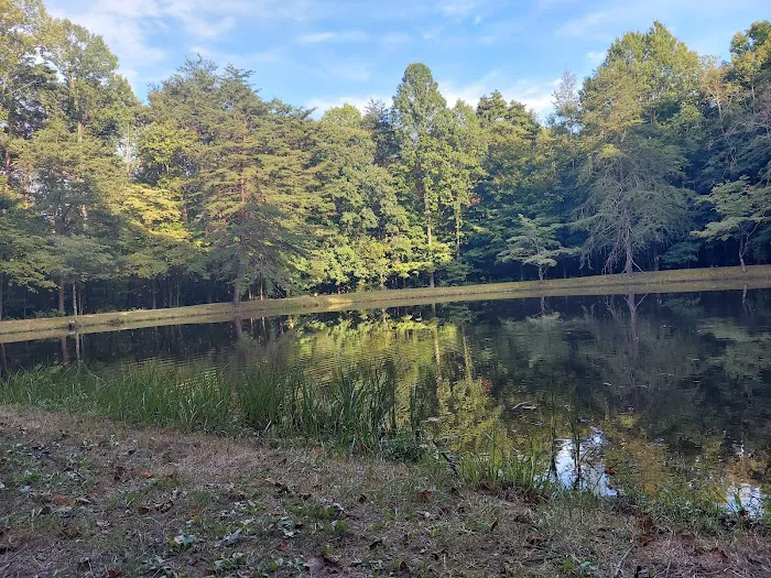 Owen-Putnam State Forest Picture 4