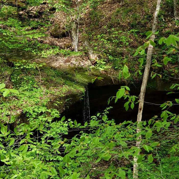 Owen-Putnam State Forest Picture 9