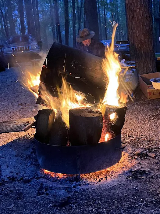 Owen-Putnam State Forest Picture 7