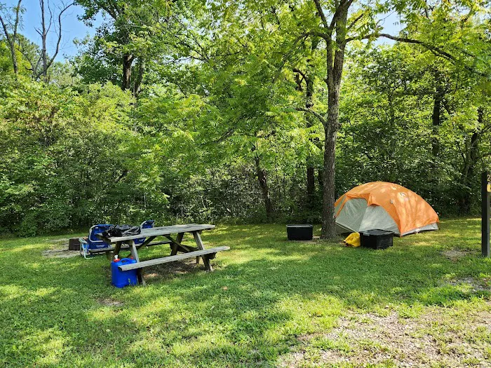 Owen-Putnam State Forest Picture 10