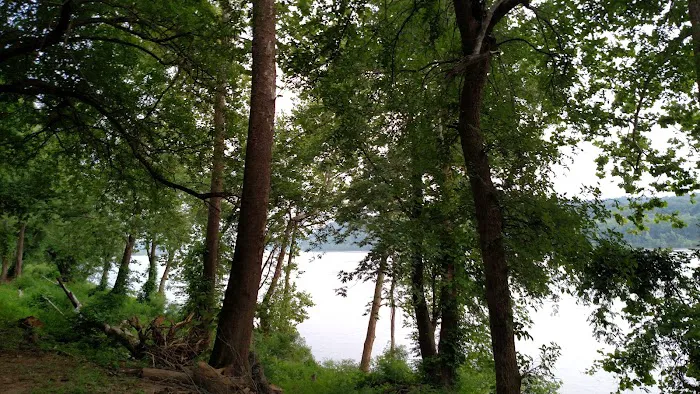Horseshoe Bend RV Campground Picture 4