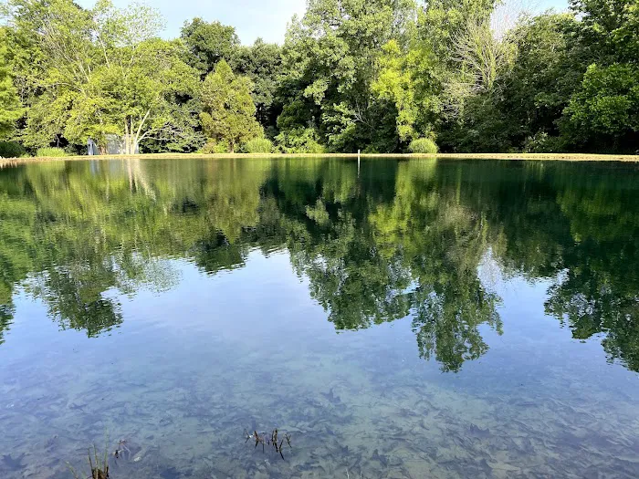 Pop’s Hideaway Picture 1