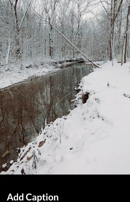 Morgan Cabins Picture 10