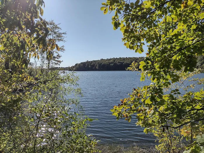Indian-Celina Lake Recreation Area Picture 2