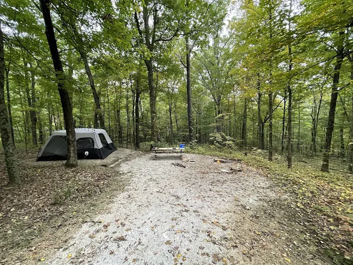 Indian-Celina Lake Recreation Area Picture 1