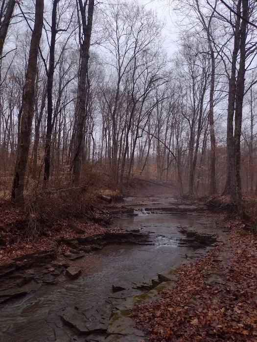Indian-Celina Lake Recreation Area Picture 5