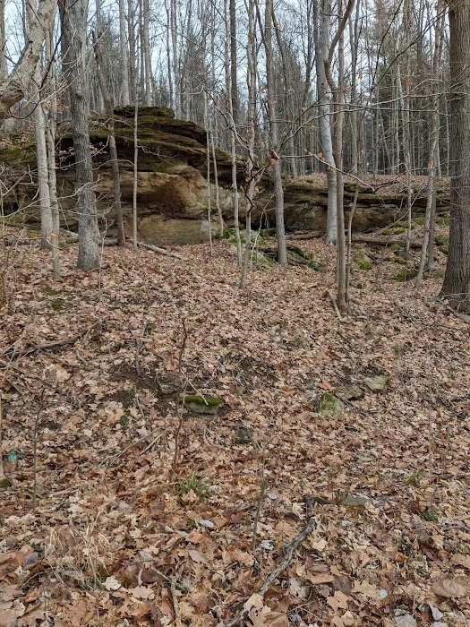 Indian-Celina Lake Recreation Area Picture 7