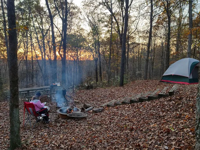 Indian-Celina Lakes North Face Campground Picture 1