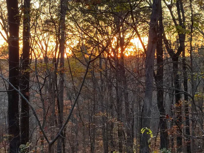 Indian-Celina Lakes North Face Campground Picture 5