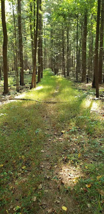 Indian-Celina Lakes North Face Campground Picture 4