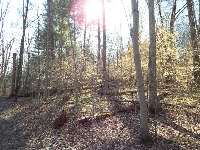 Indian-Celina Lakes North Face Campground Picture 7