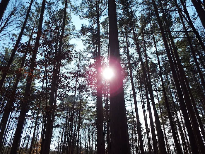 Indian-Celina Lakes North Face Campground Picture 9