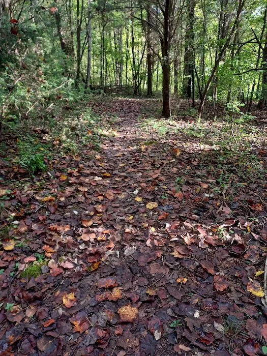 Indian-Celina Lakes North Face Campground Picture 8
