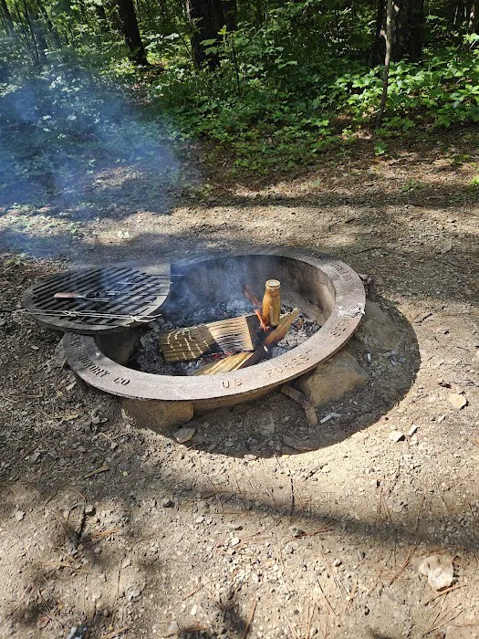 Indian-Celina Lakes North Face Campground Picture 10