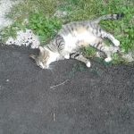 Brown & Carrier Private Campground