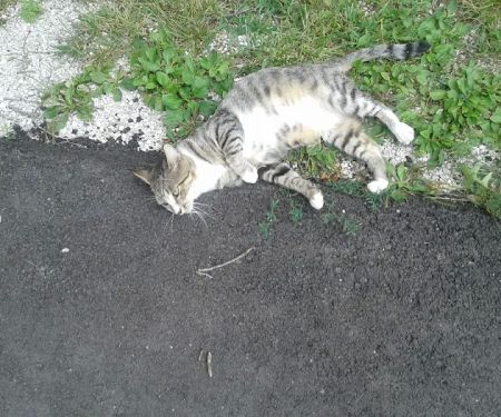 Brown & Carrier Private Campground