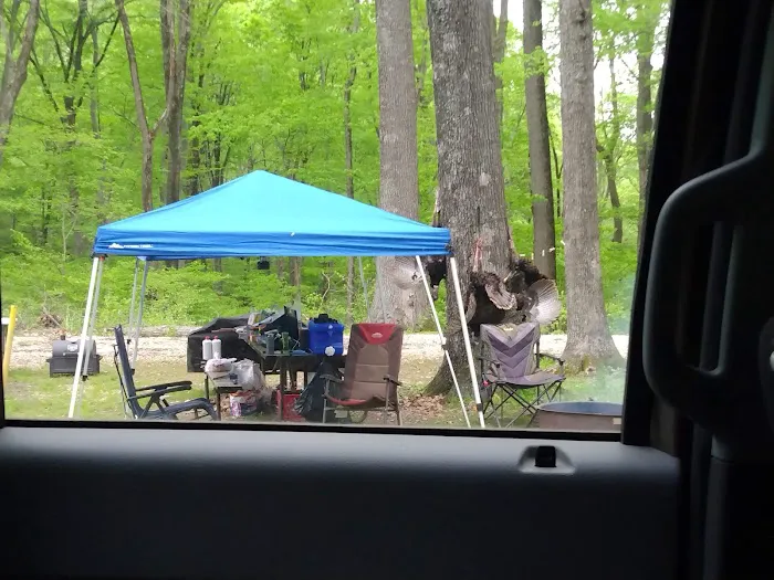 Shirley Creek Horse Camp Picture 7