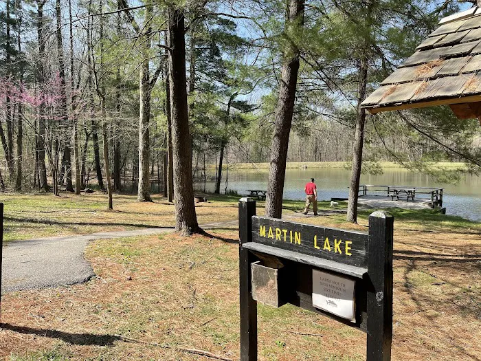 Martin State Forest Campground Picture 2