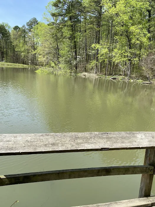 Martin State Forest Campground Picture 4