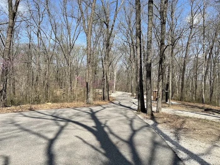 Martin State Forest Campground Picture 3