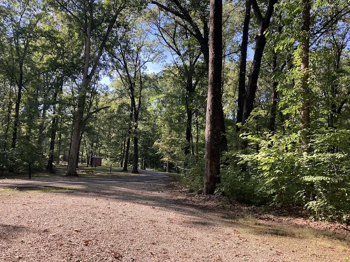 Martin State Forest Campground Picture 5