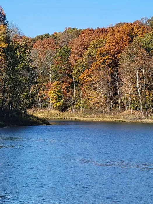 Patoka Lake Modern Campground Picture 1