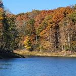 Patoka Lake Modern Campground