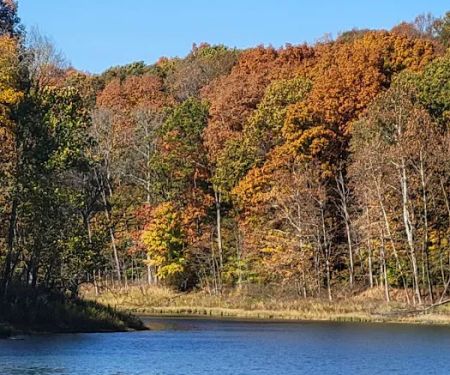 Patoka Lake Modern Campground