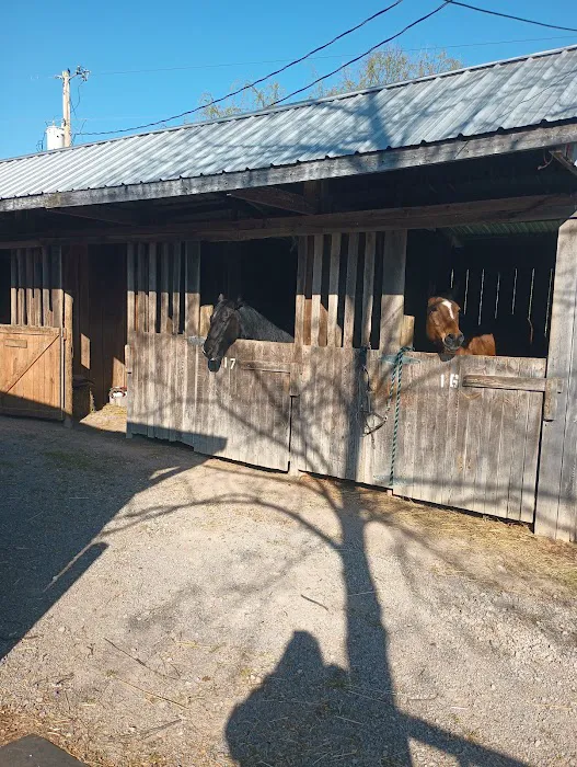Quiet Woods Green River Stables Picture 4