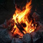 The Driftwoods RV Park