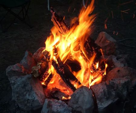 The Driftwoods RV Park