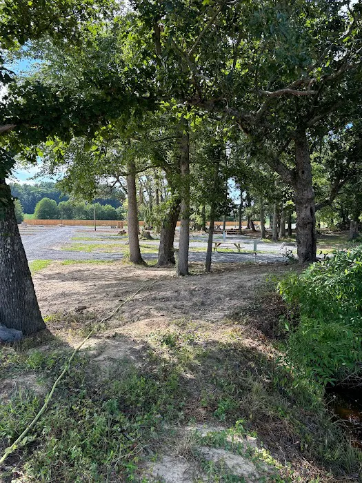 The Driftwoods RV Park Picture 6