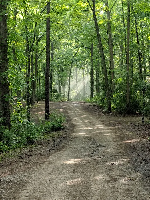 S-Tree Campground Picture 1