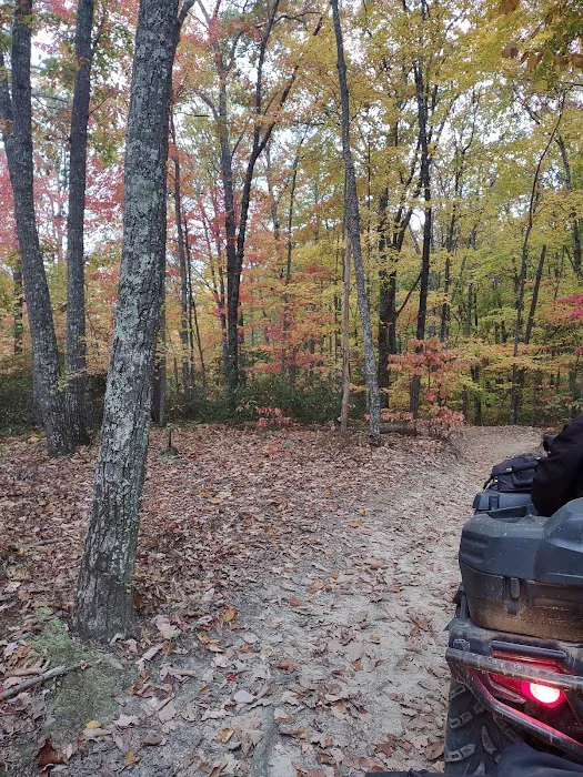 S-Tree Campground Picture 6