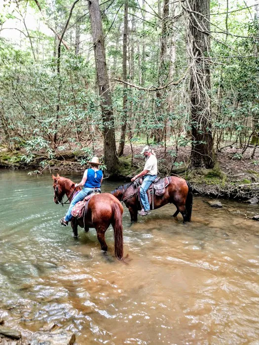 S-Tree Campground Picture 8