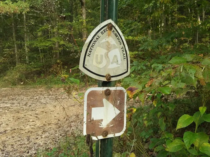 S-Tree Campground Picture 7