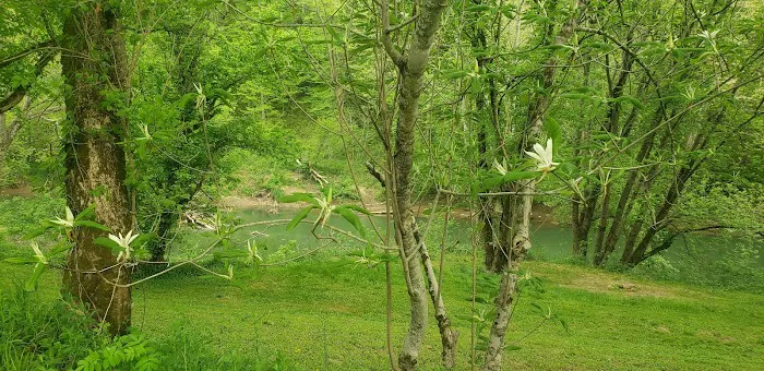 Rockcastle Riverside Picture 8