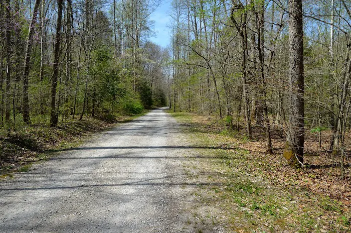 Turkey Foot Campground Picture 4