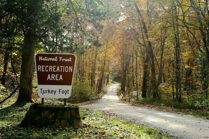 Turkey Foot Campground Picture 6