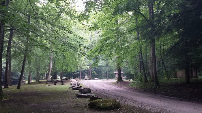 Turkey Foot Campground Picture 8