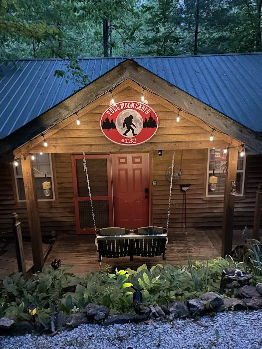 Fern Gulley Cabin Picture 1