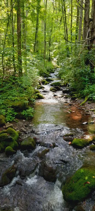 Little Cataloochee Trailhead Picture 2