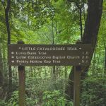 Little Cataloochee Trailhead