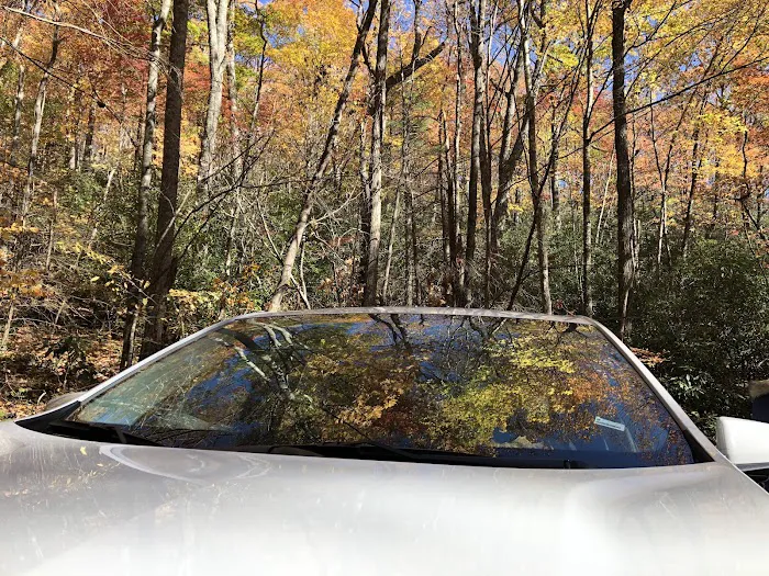 Little Cataloochee Trailhead Picture 5