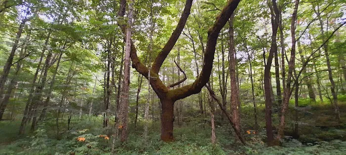 Little Cataloochee Trailhead Picture 7