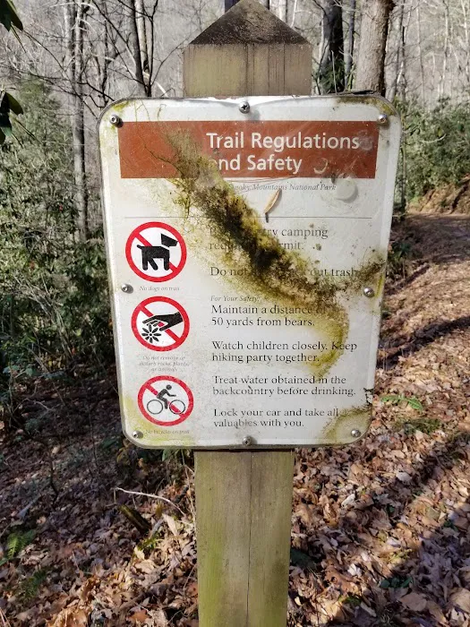 Little Cataloochee Trailhead Picture 8