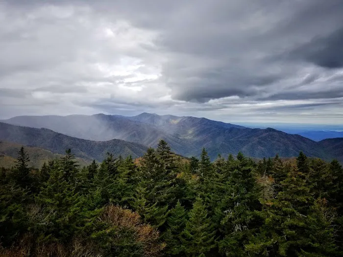 Backcountry Campsite #38 Picture 1